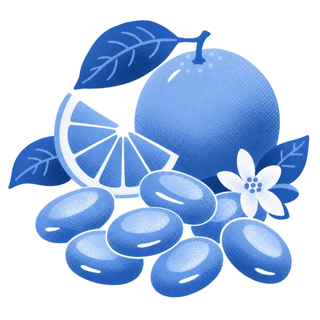 Illustration d’une orange, de sa tranche et de bonbons cuits Maison Ratti