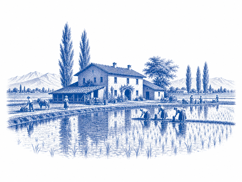 Depuis 1876