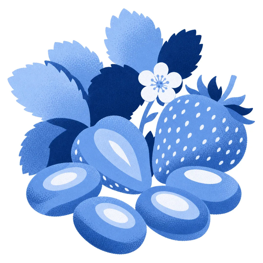 Illustration d’une fraise, de sa fleur et de bonbons cuits Maison Ratti